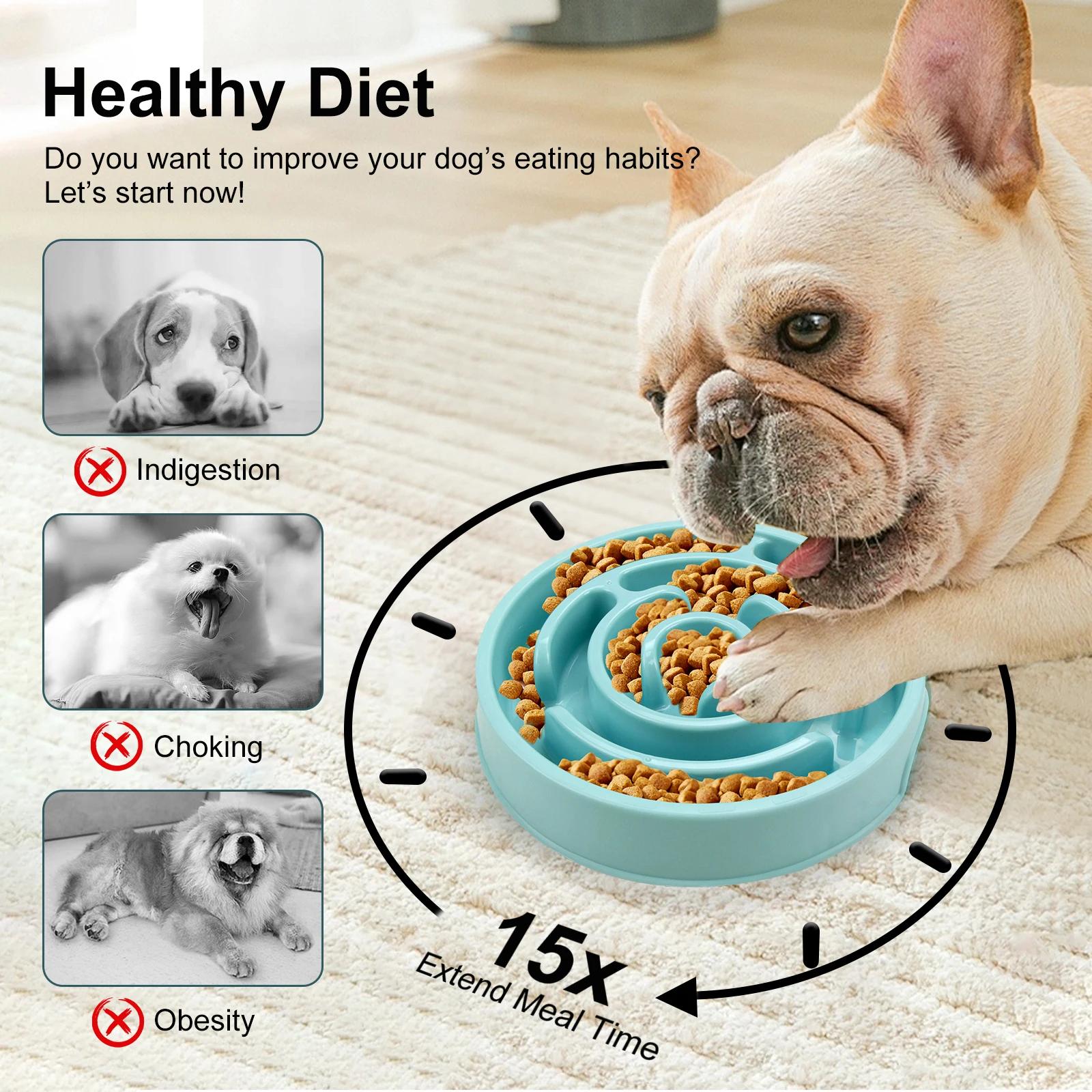 Pet Dog Slow Feeder Bowl Fun N - đánh giá và giá Royal Canin Food Medium